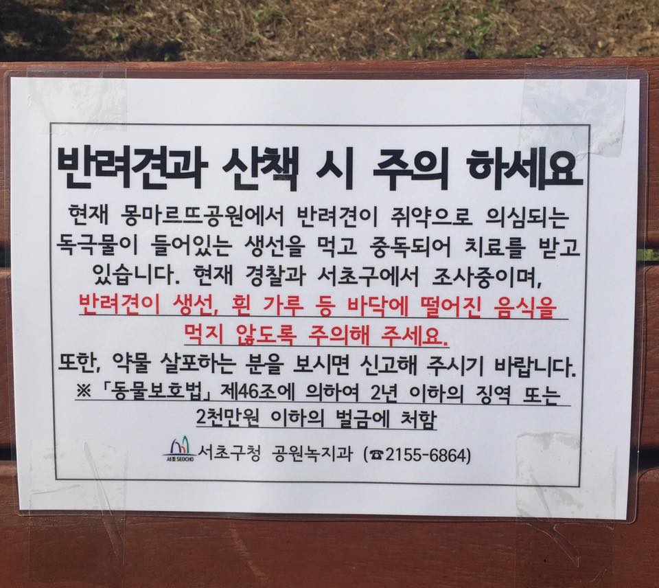 노트펫