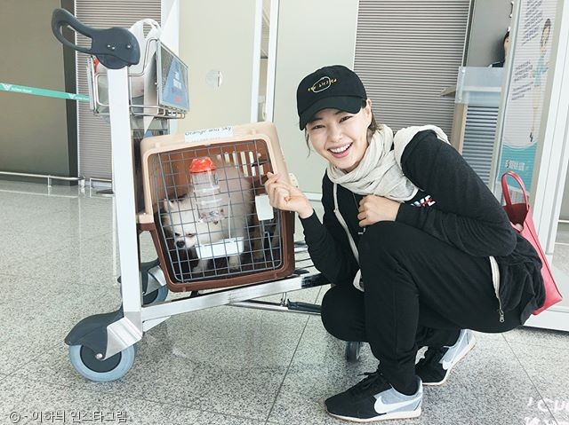 노트펫