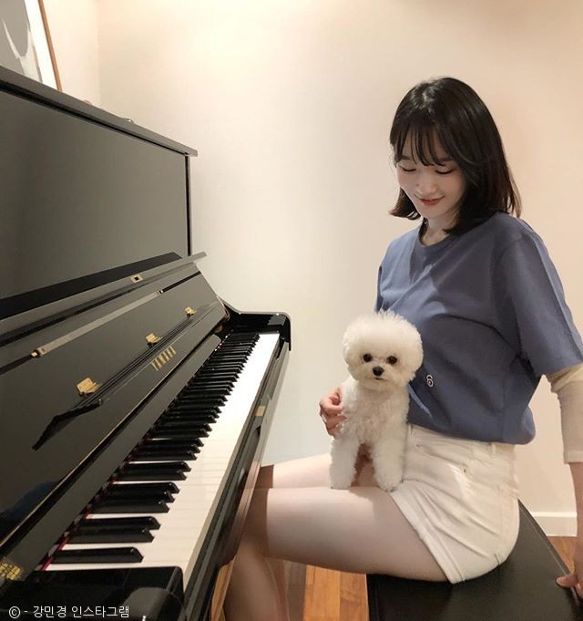 노트펫