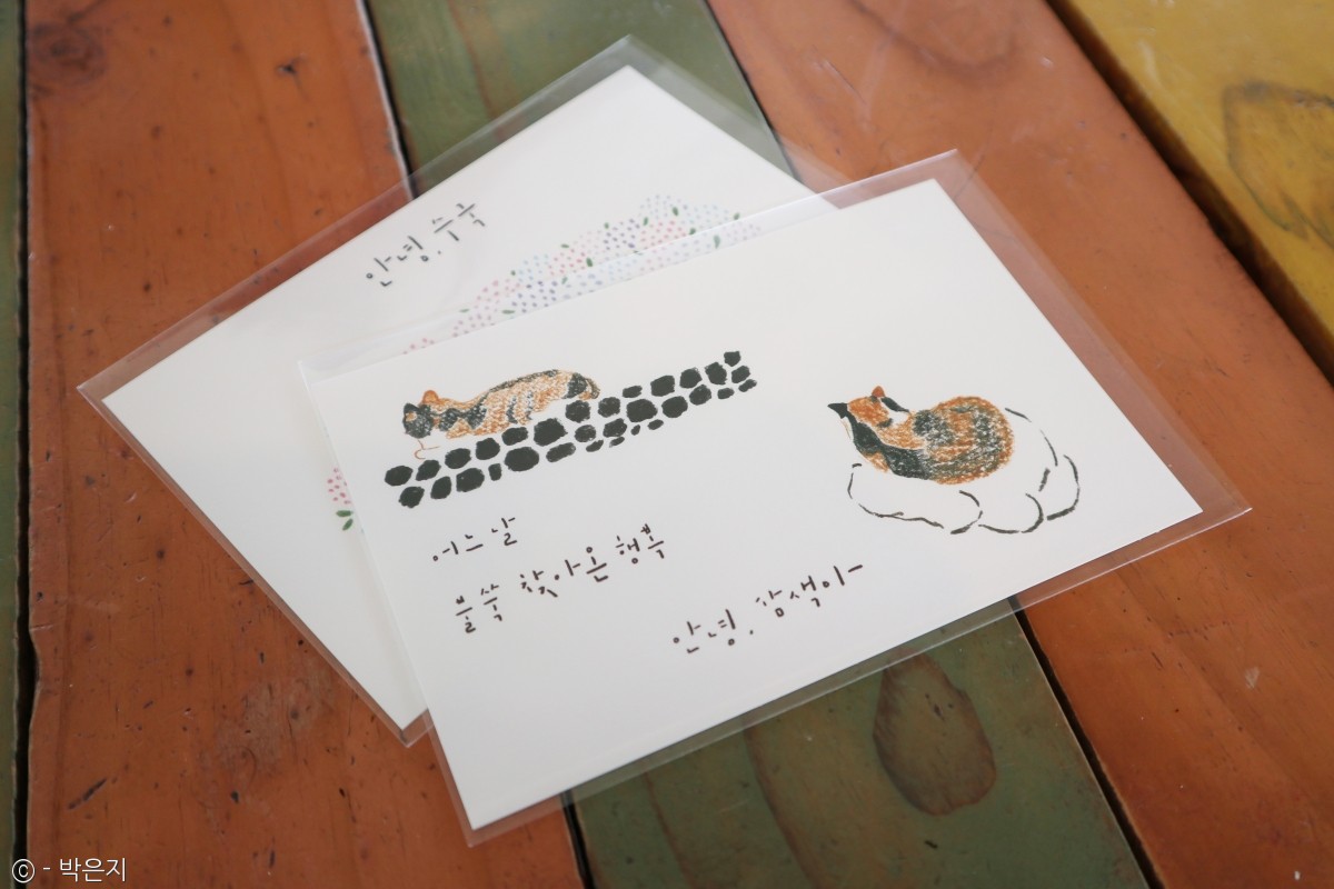 노트펫