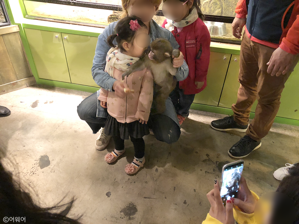 노트펫