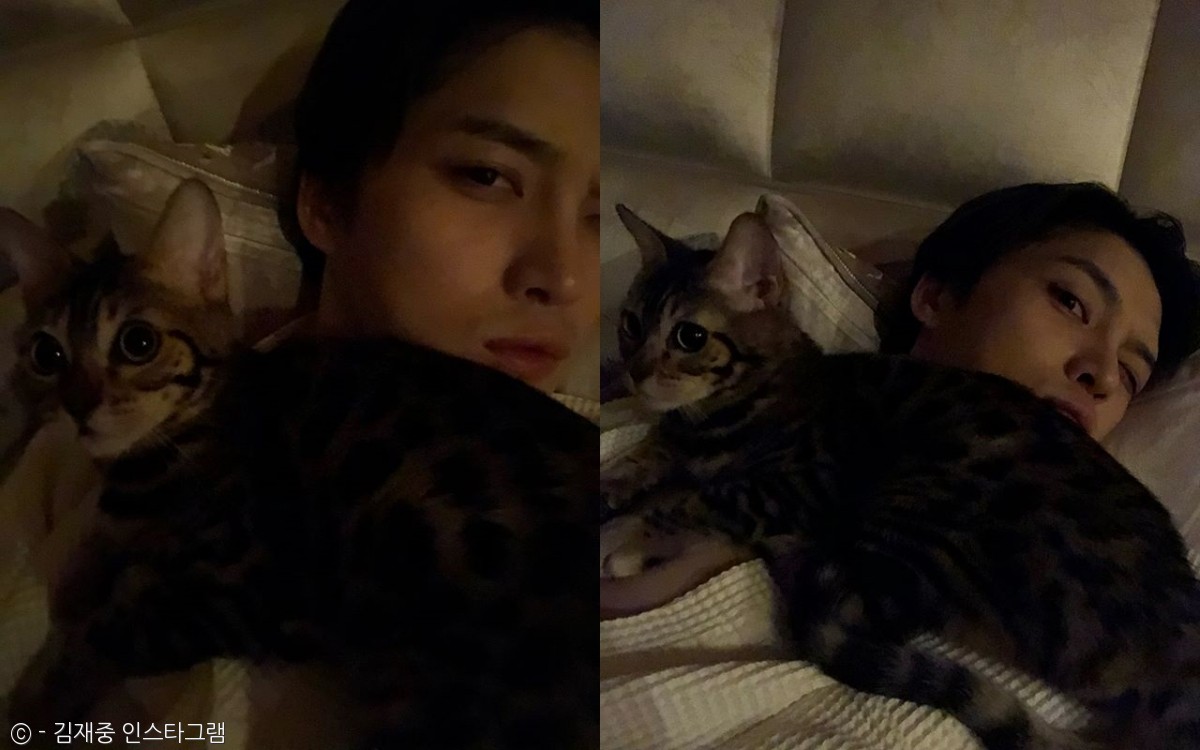 노트펫