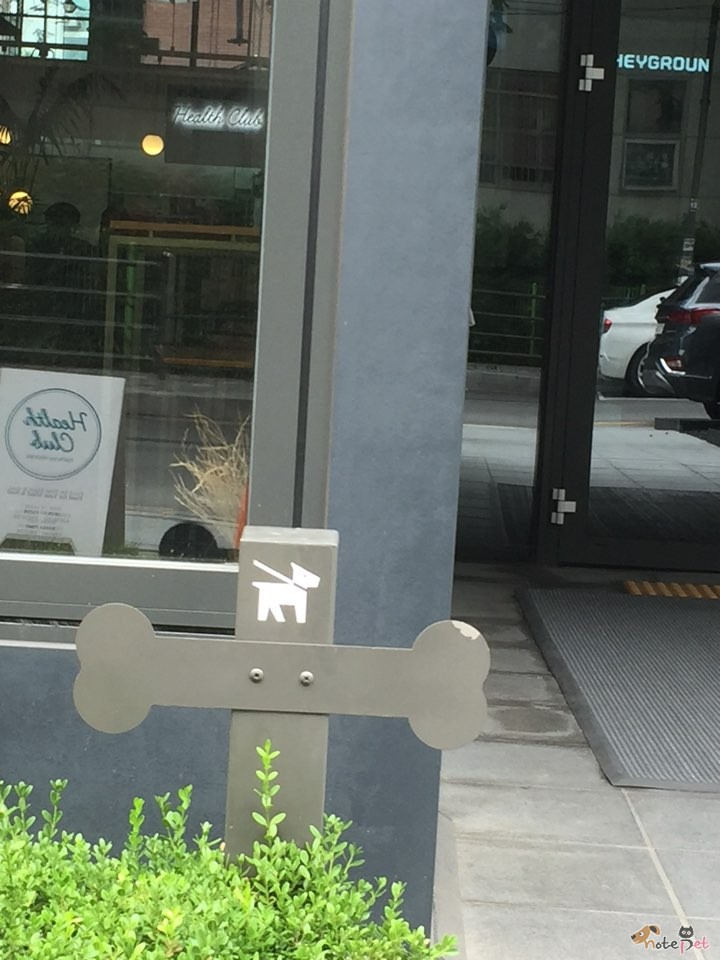 노트펫