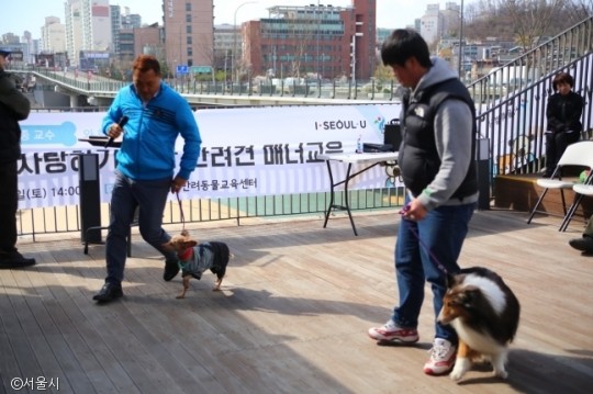 노트펫
