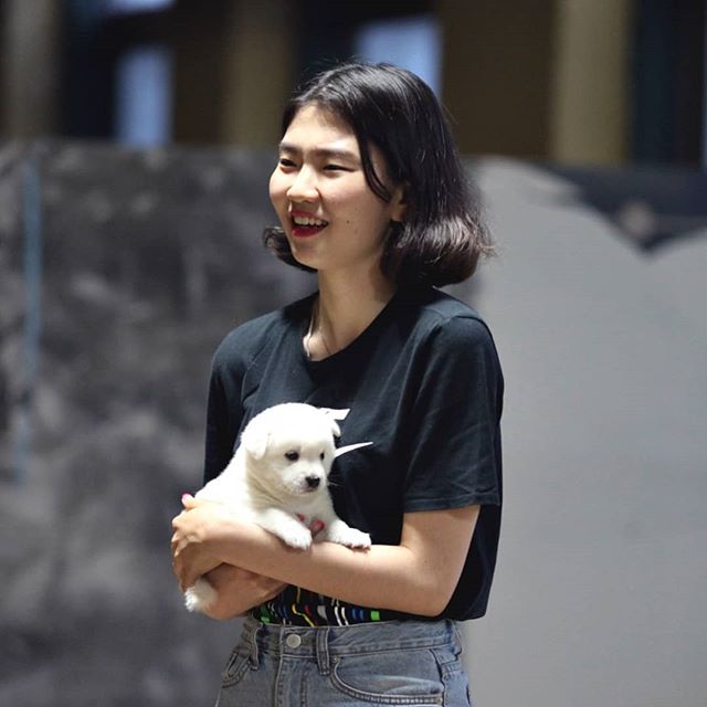 노트펫