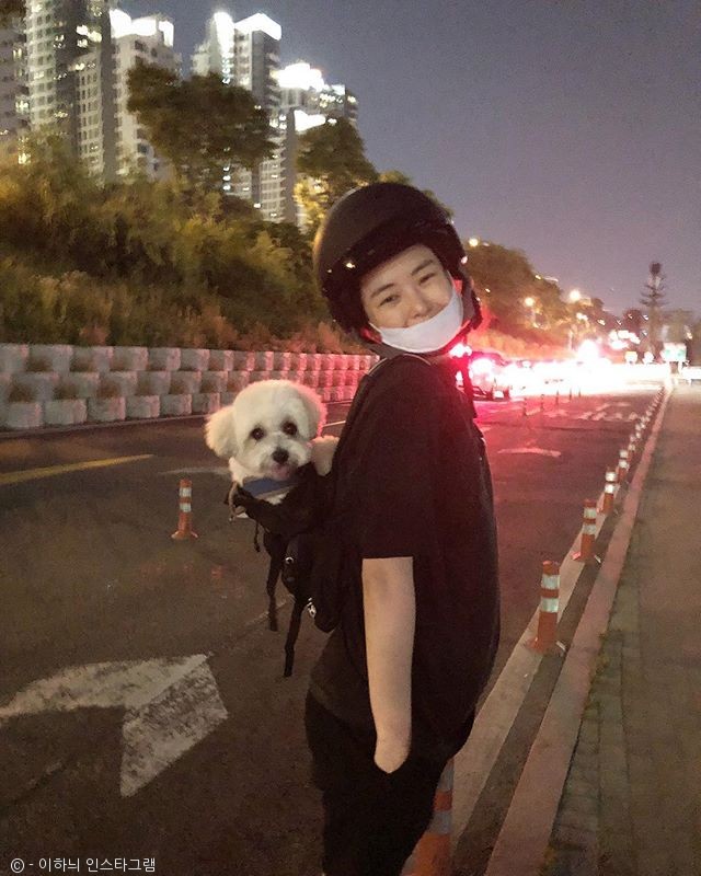 노트펫