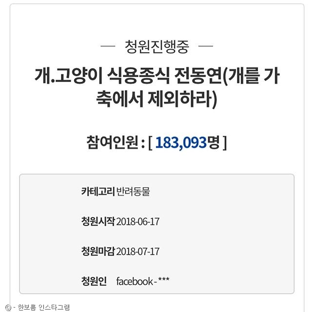 노트펫