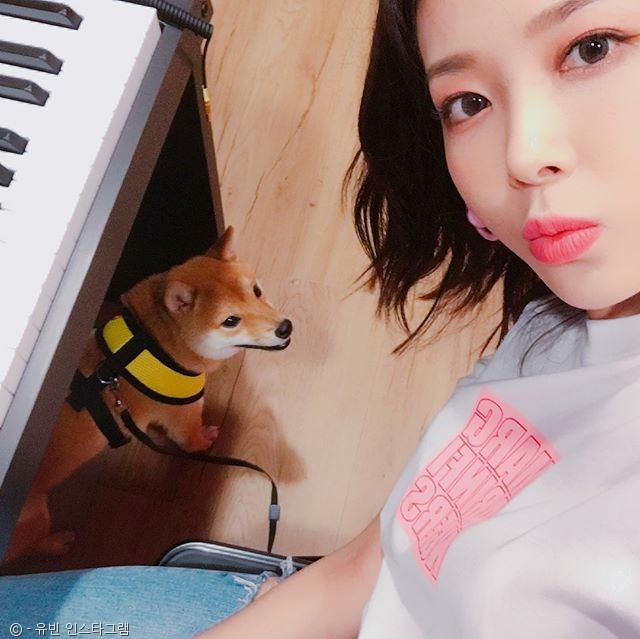 노트펫
