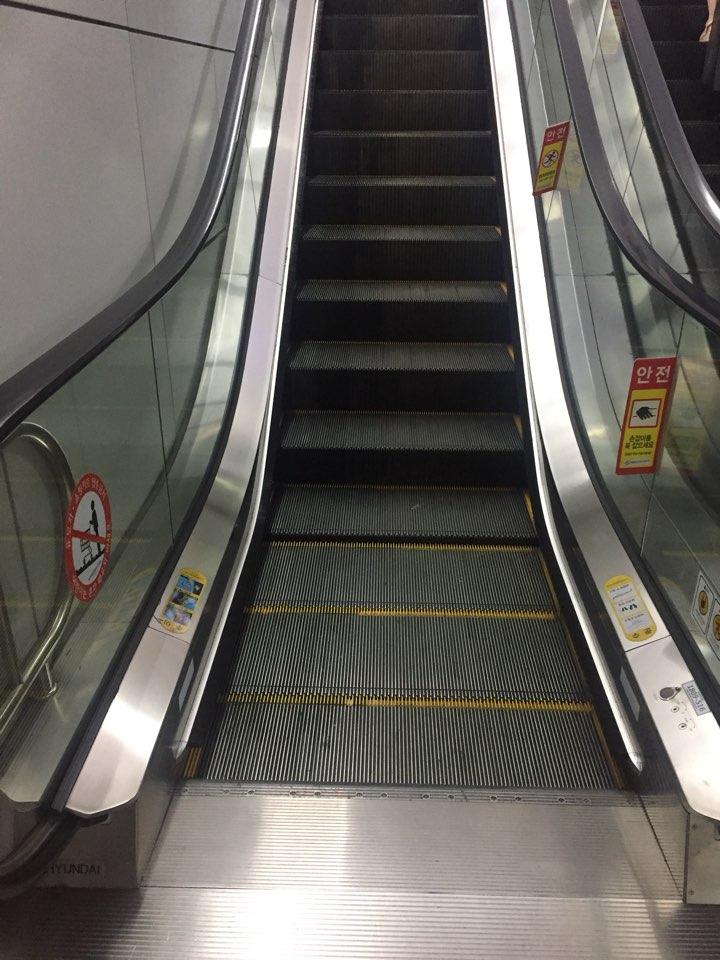 노트펫