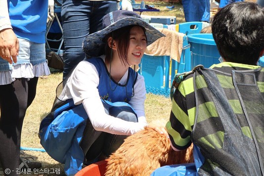 노트펫