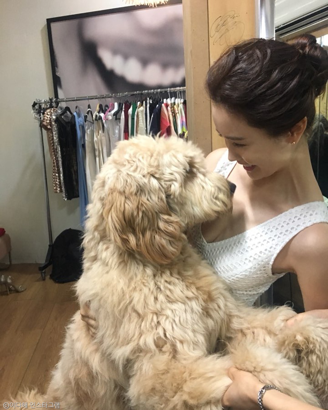 노트펫
