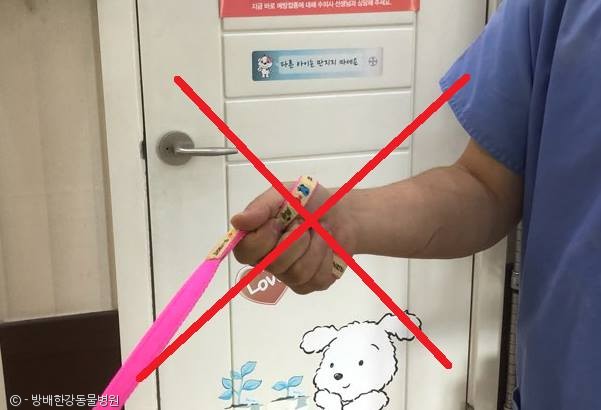 노트펫