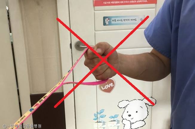 노트펫