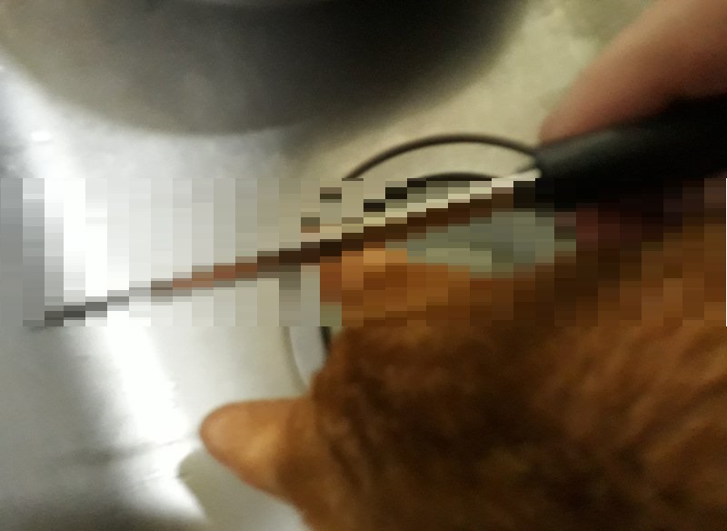 노트펫
