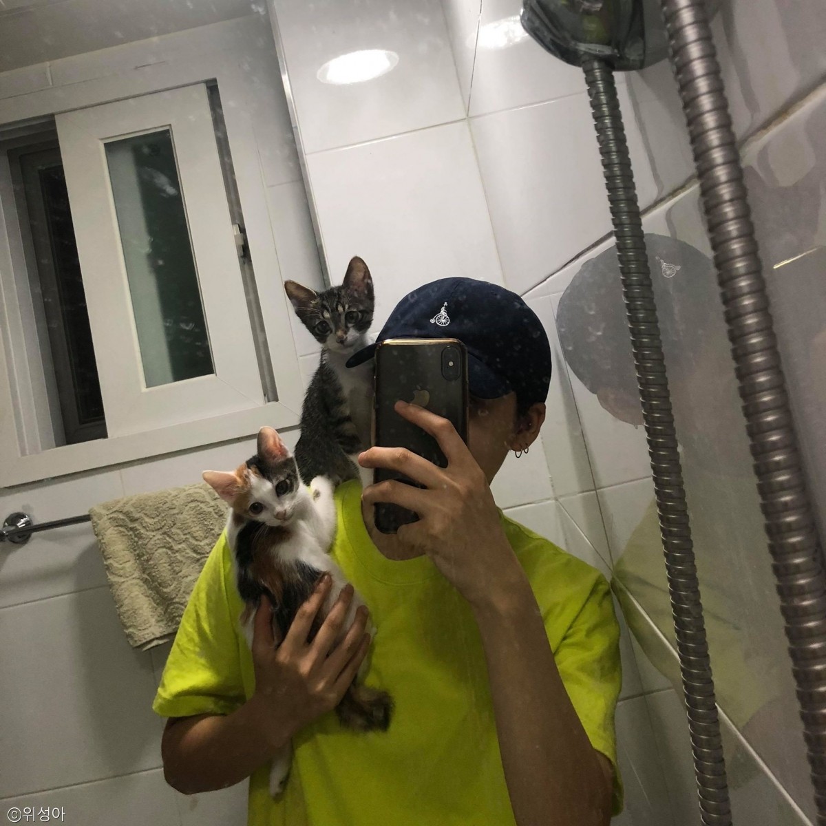 노트펫