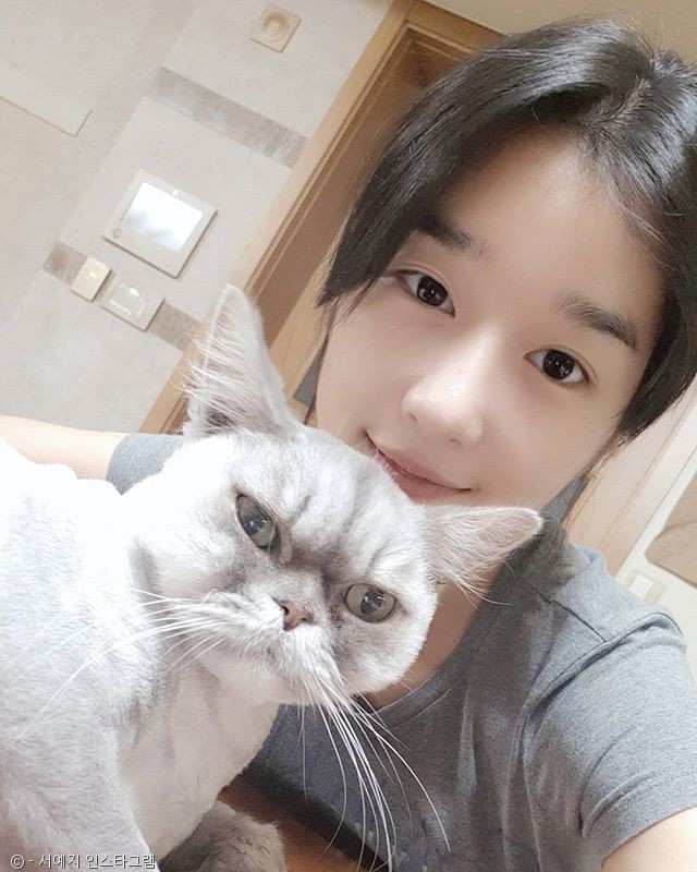 노트펫
