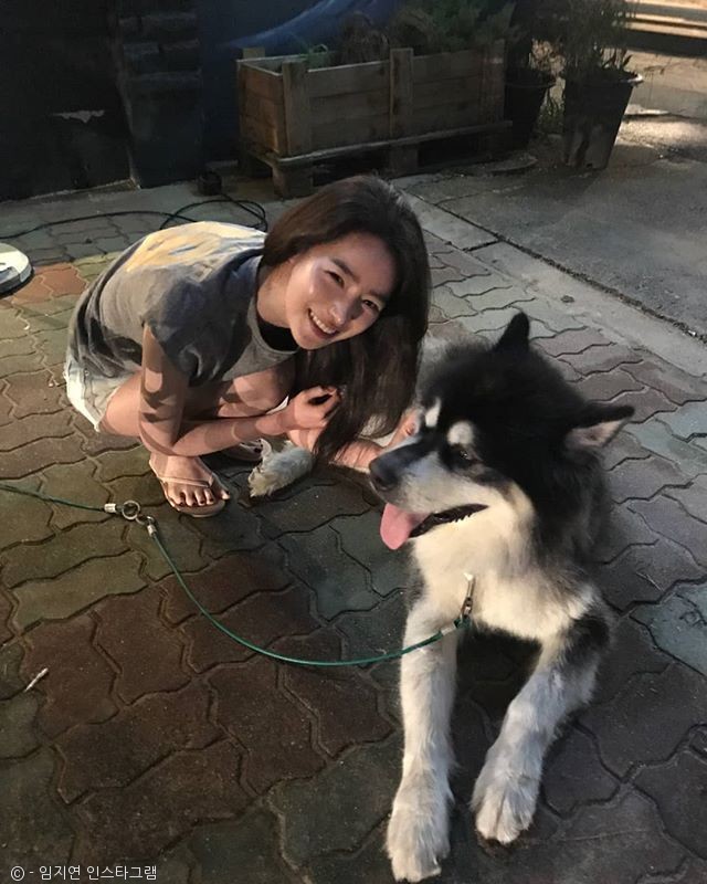 노트펫