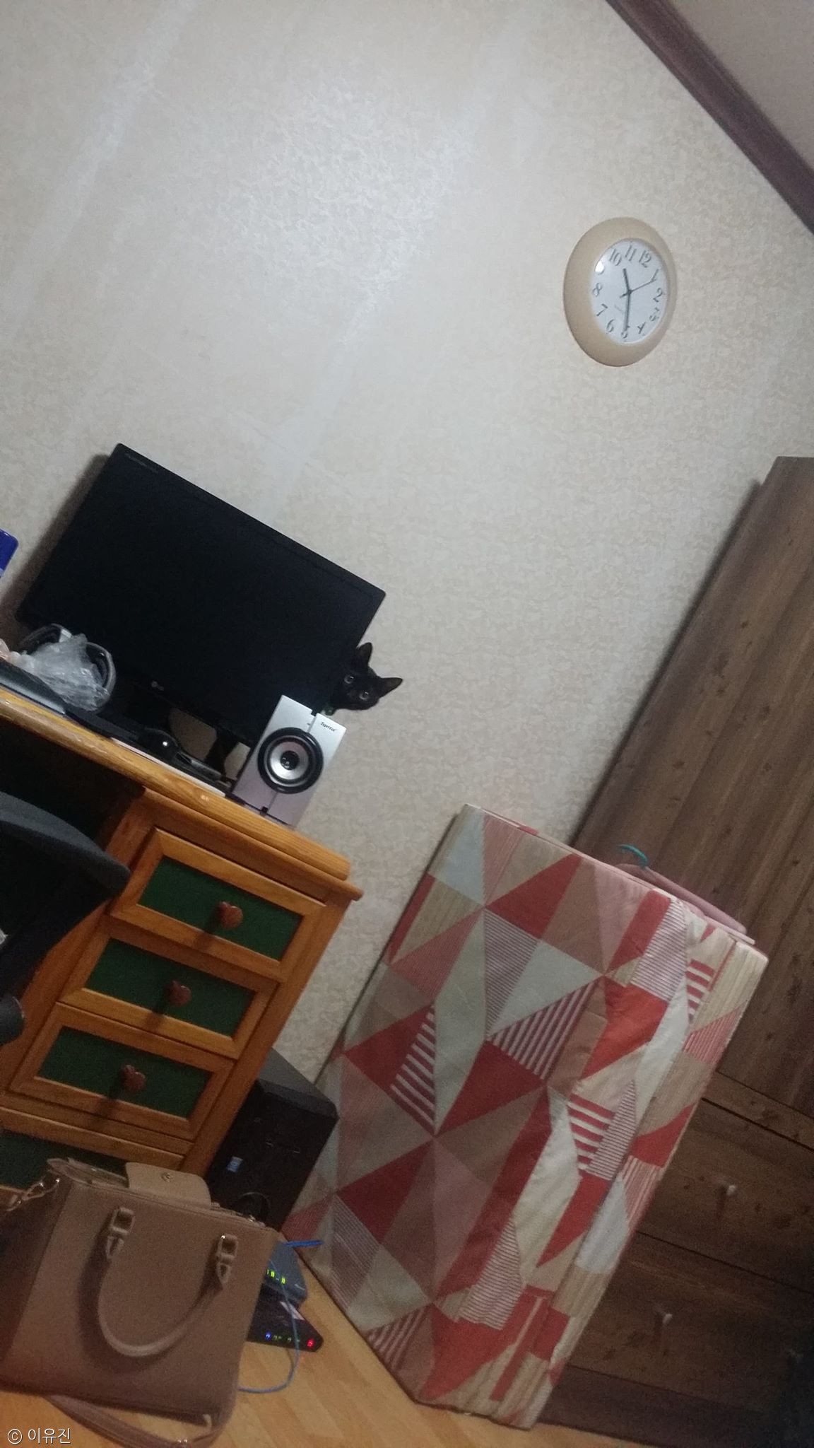 노트펫
