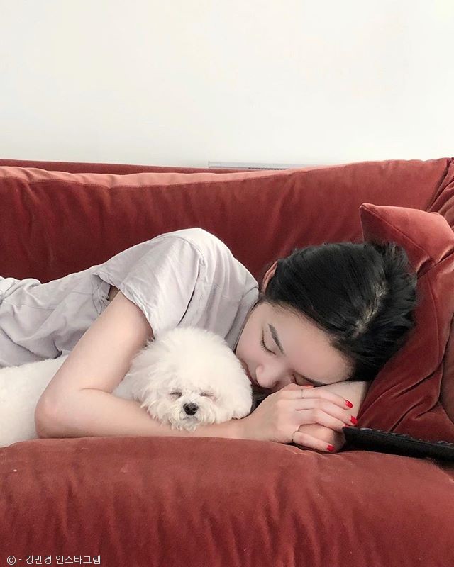 노트펫