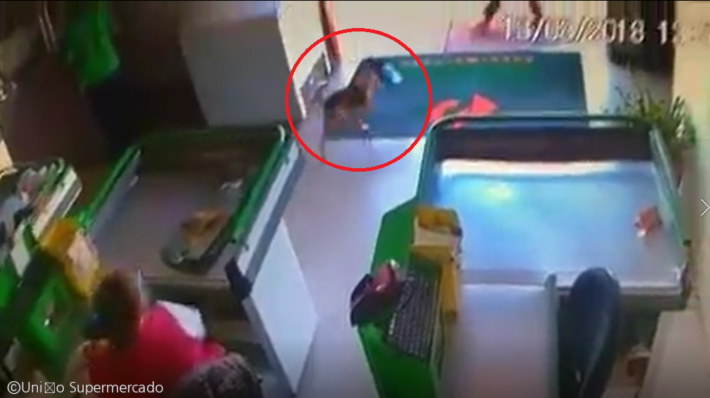 노트펫