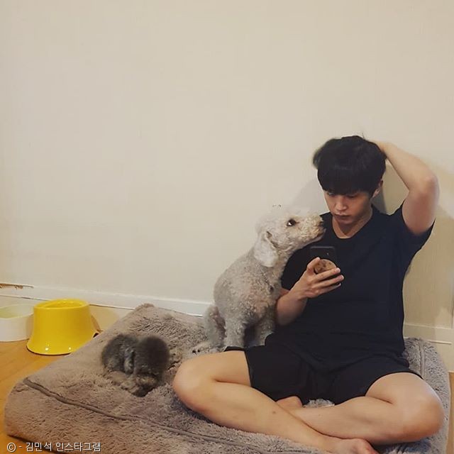 노트펫