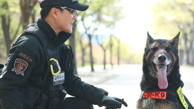 노트펫