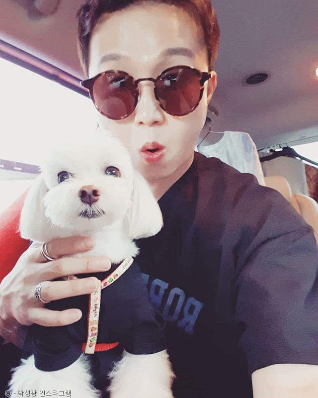 노트펫