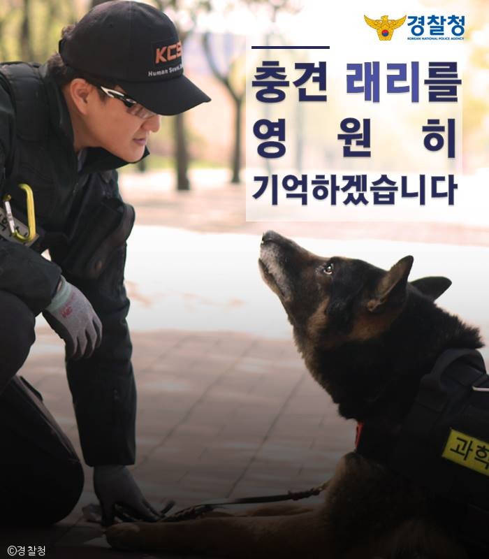 노트펫