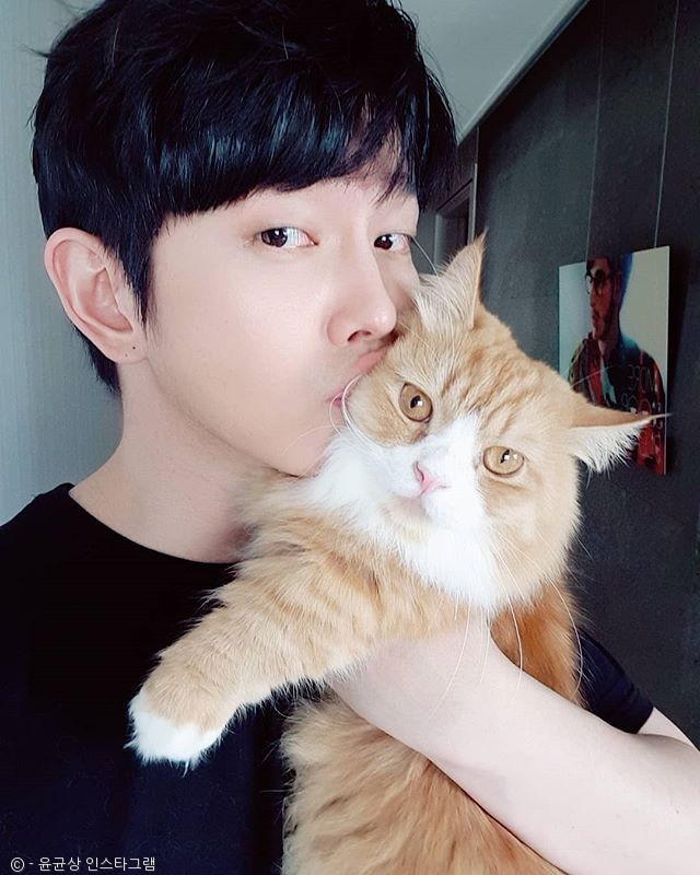 노트펫