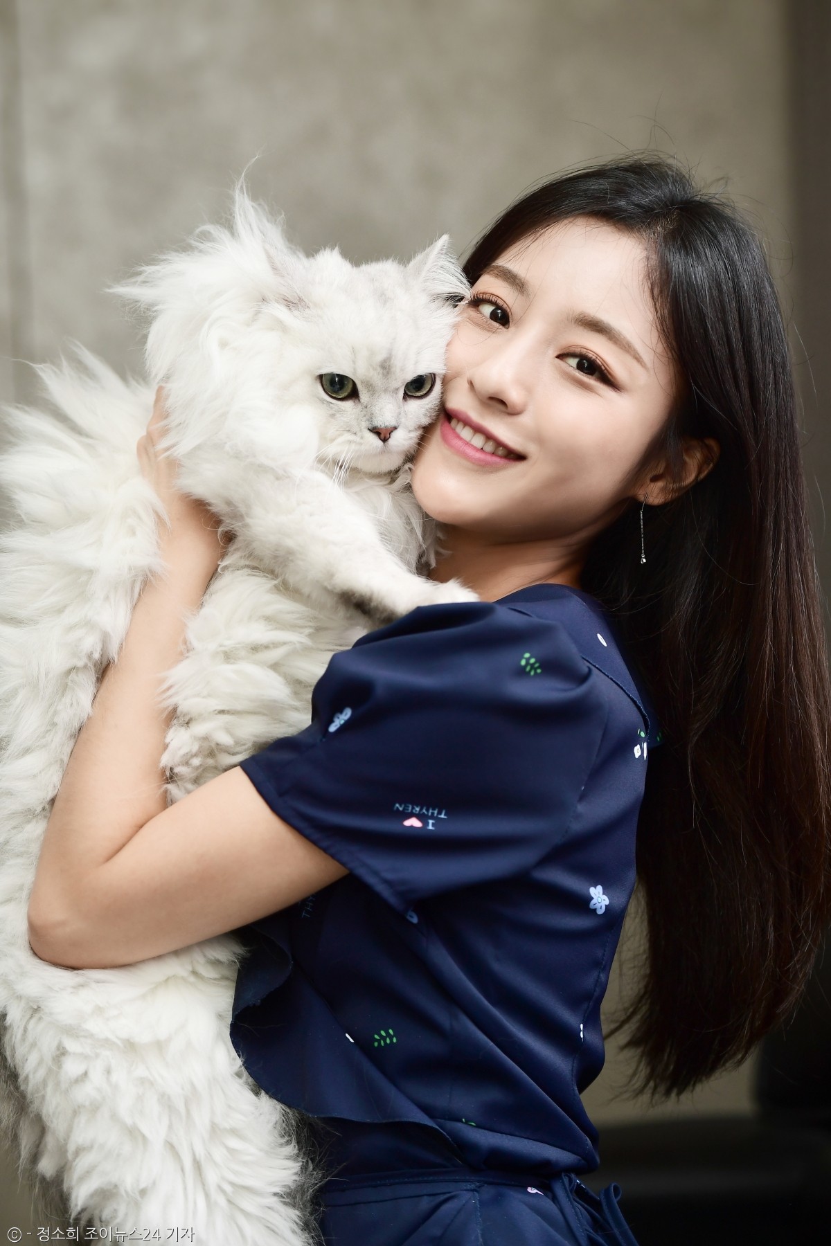 노트펫