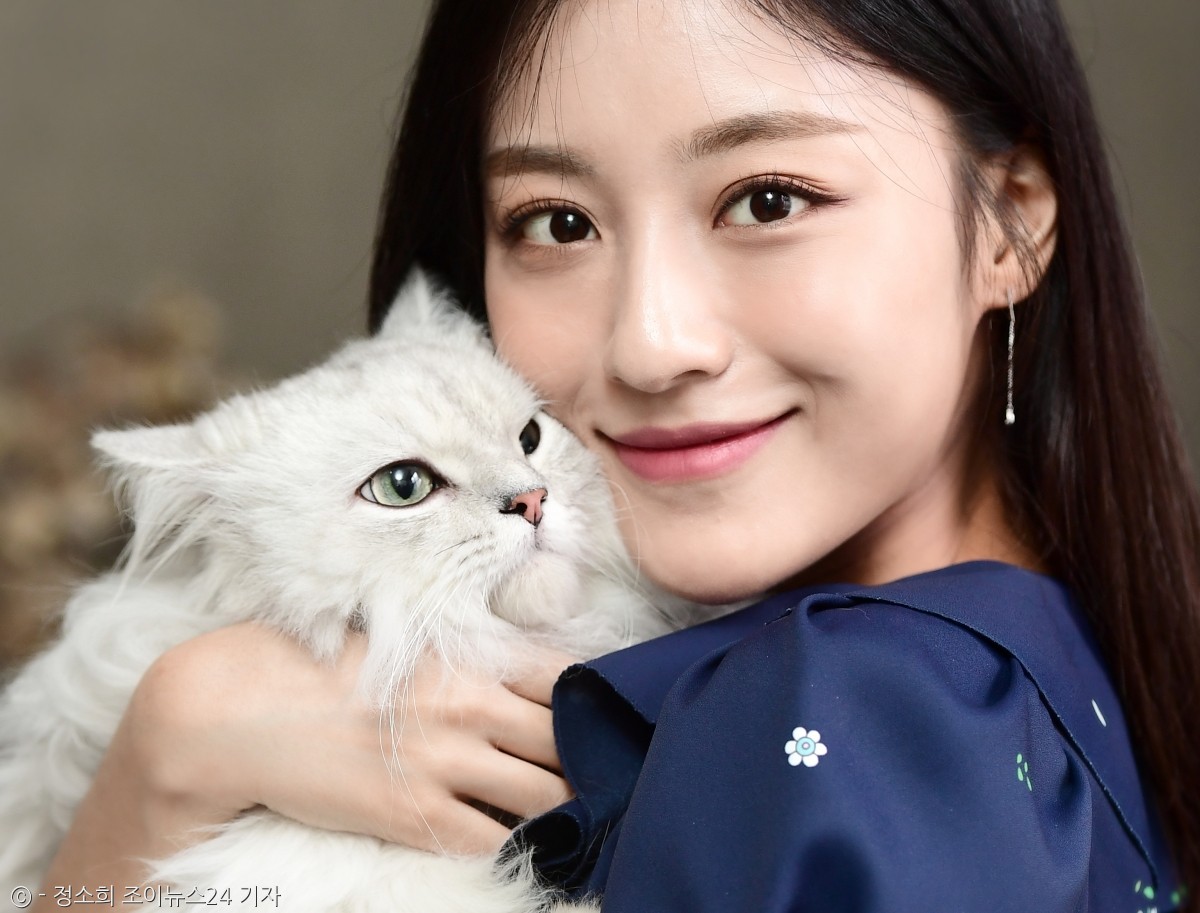 노트펫