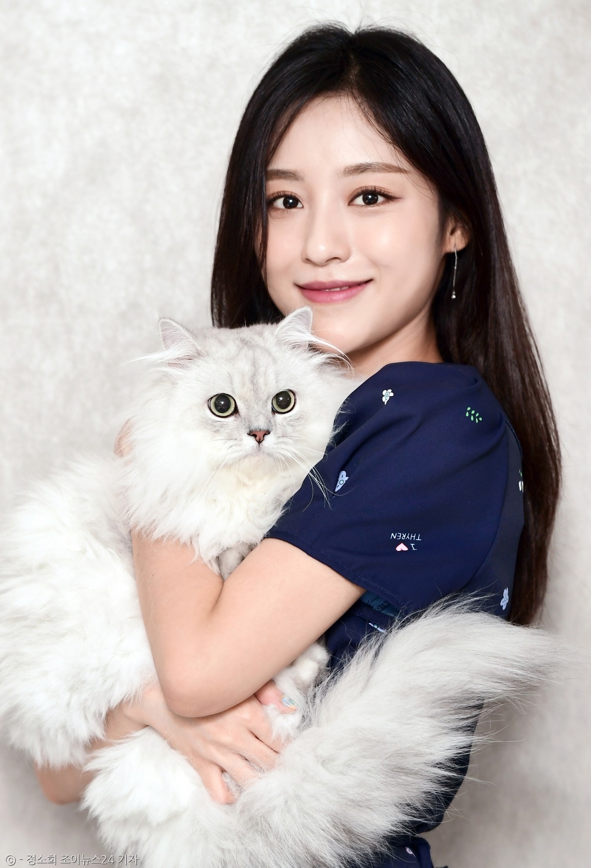 노트펫