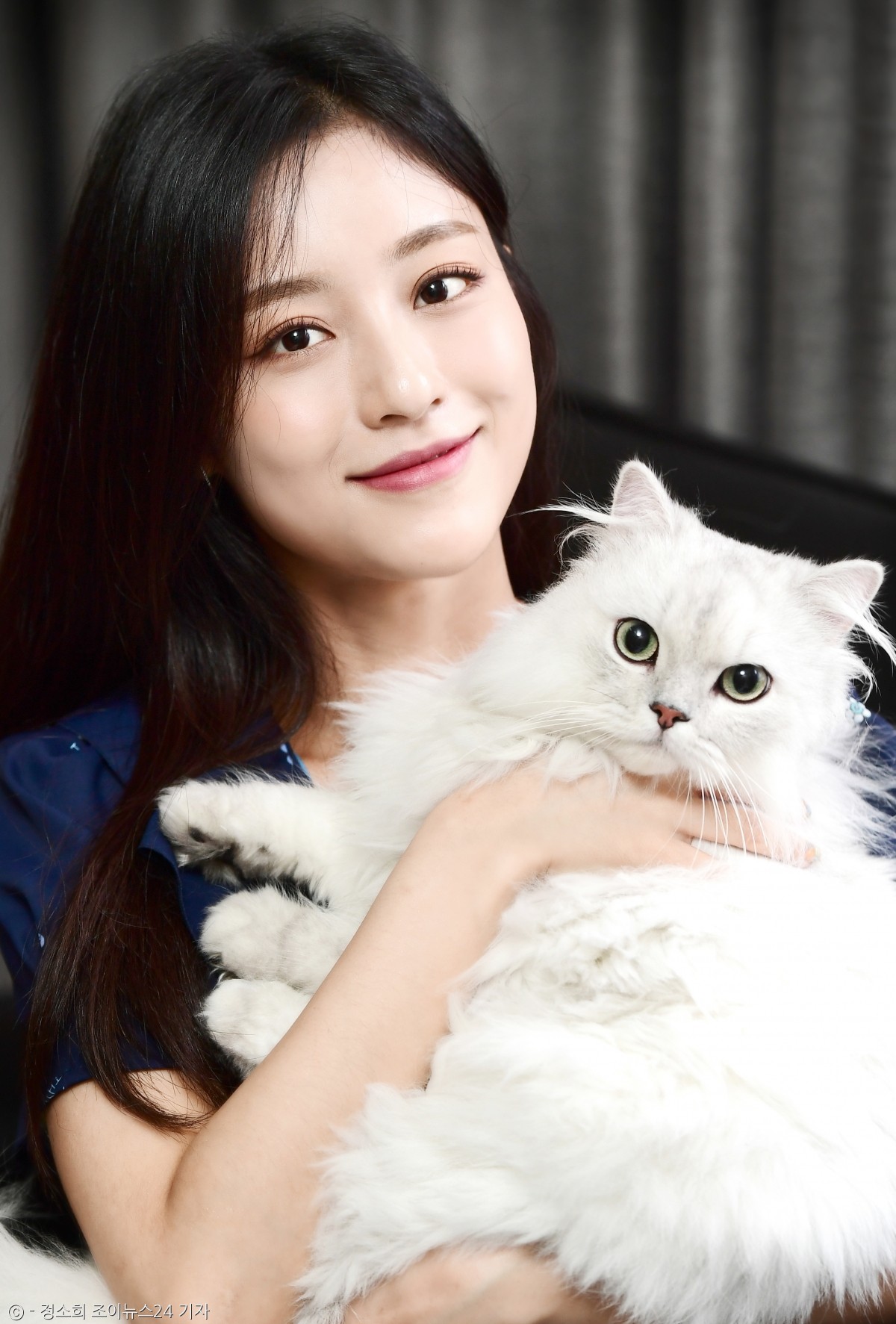 노트펫