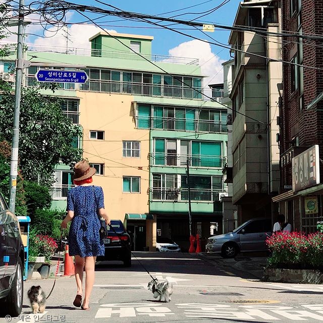 노트펫