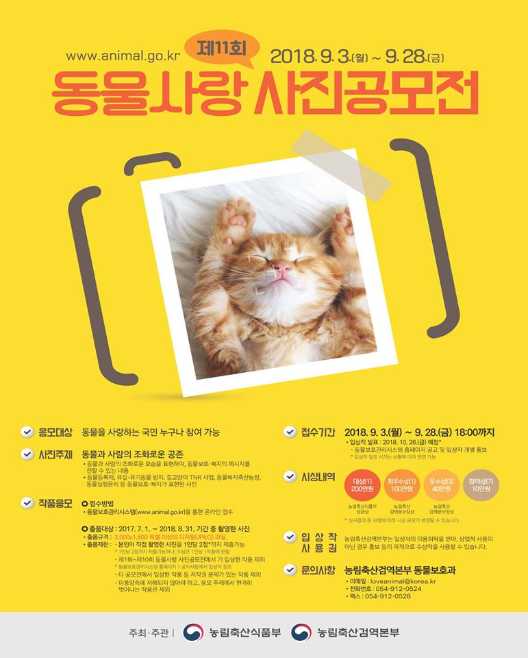 노트펫