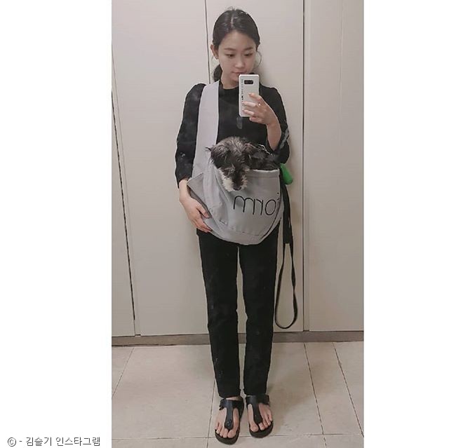 노트펫