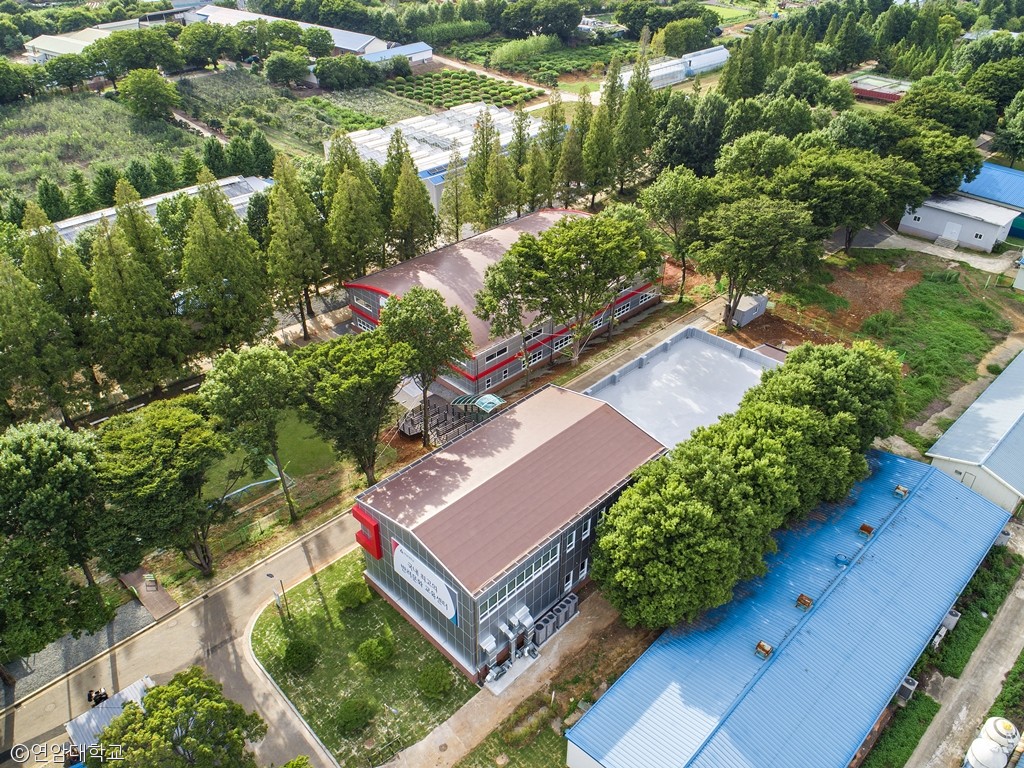 노트펫