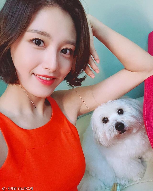 노트펫