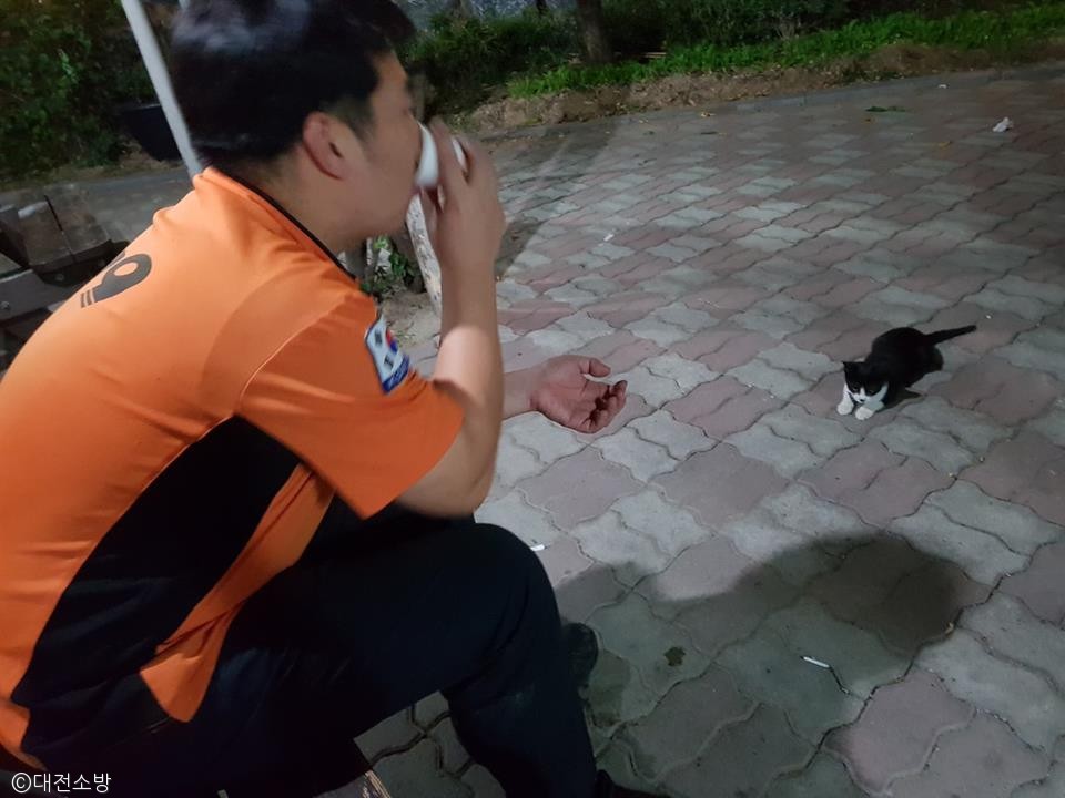 노트펫