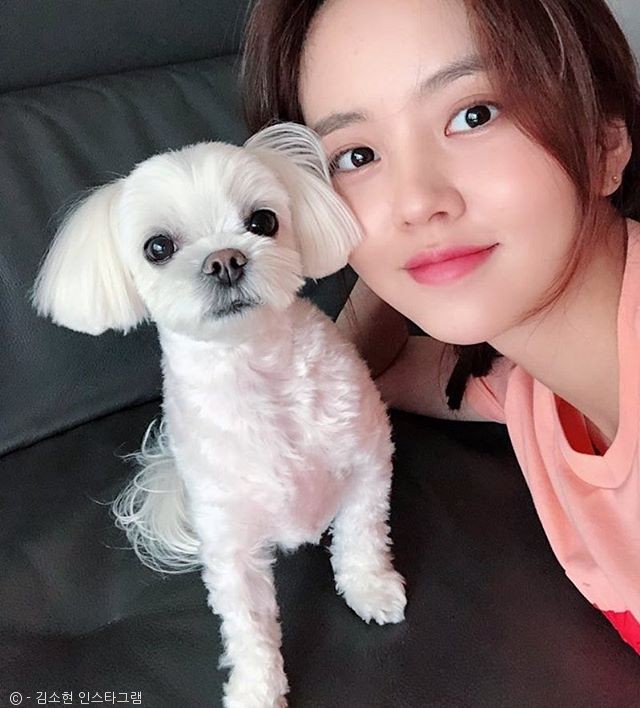 노트펫