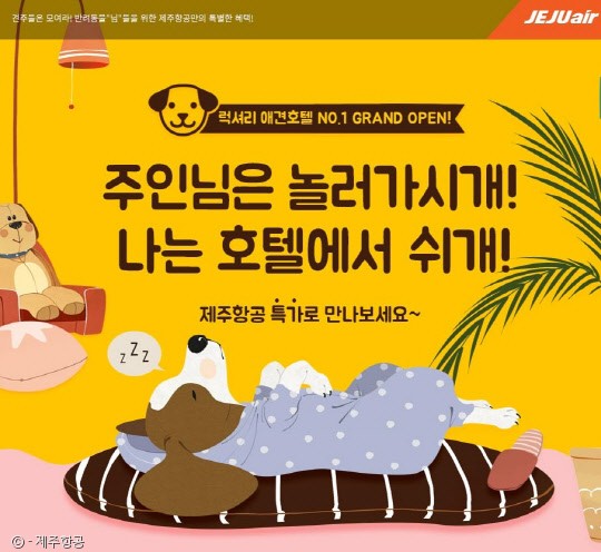 노트펫