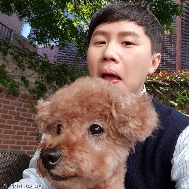 노트펫