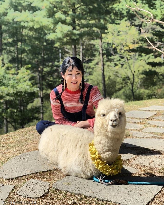 노트펫