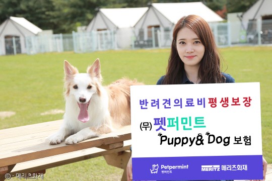 노트펫