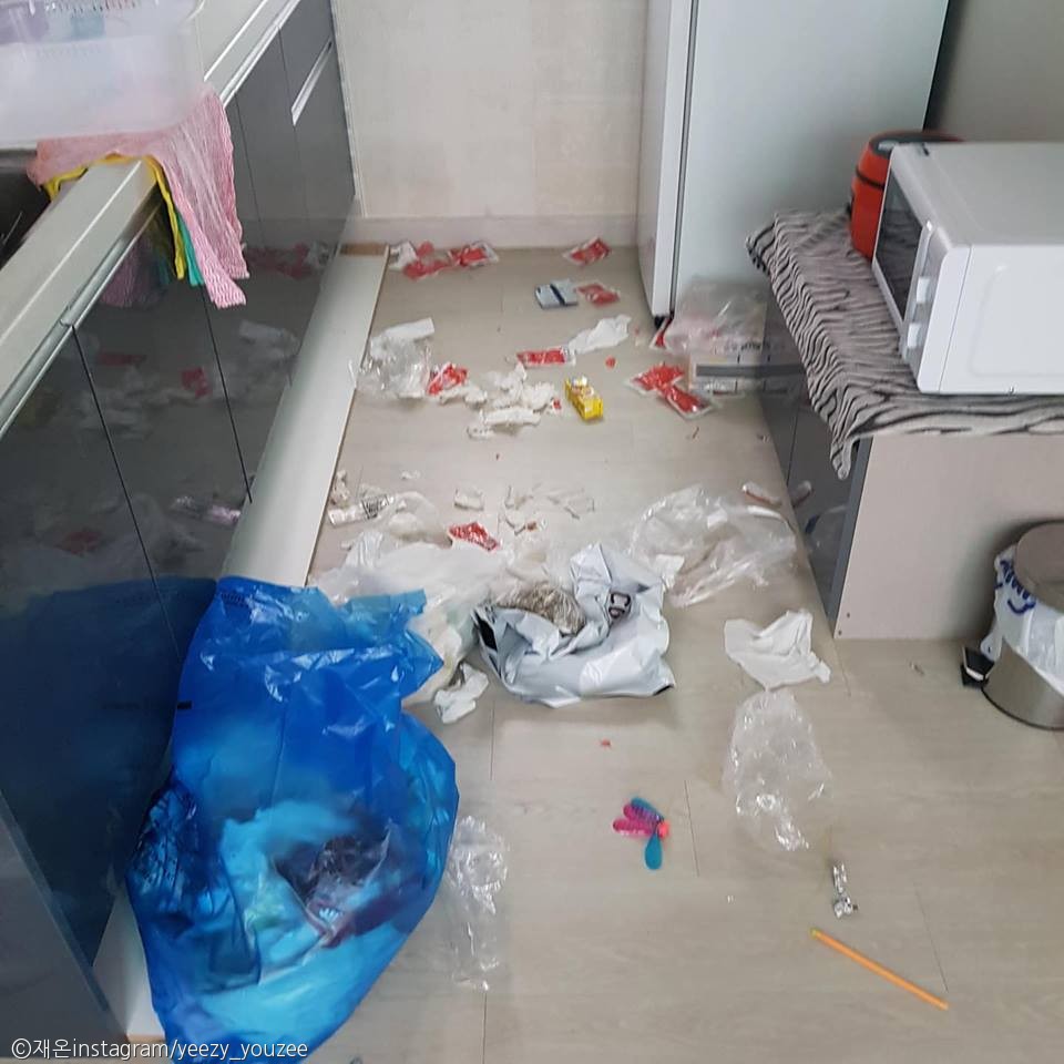노트펫