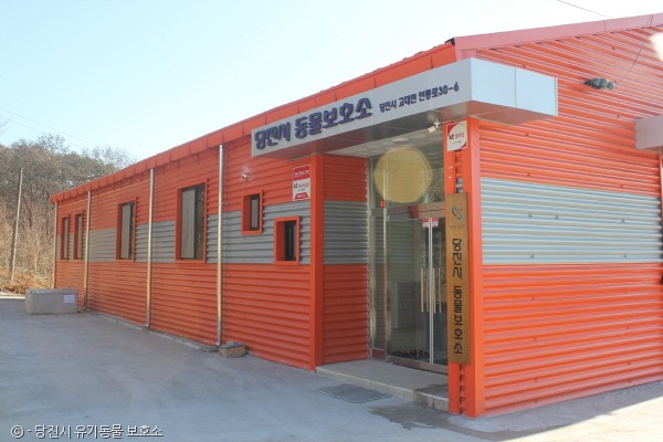 노트펫