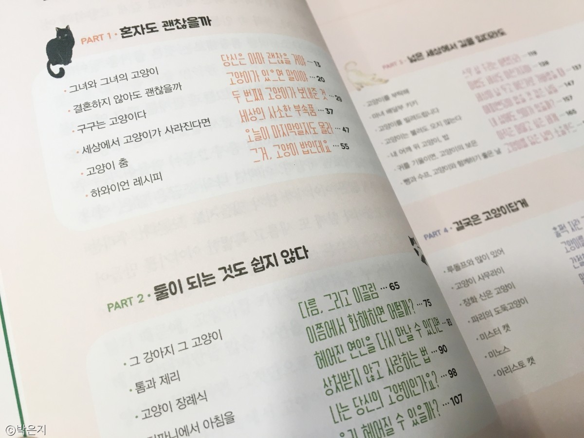 노트펫
