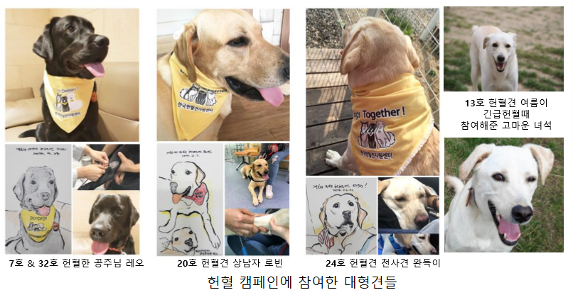 노트펫