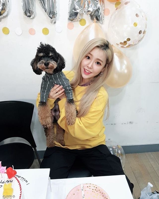 노트펫