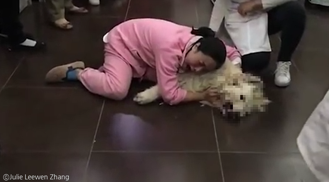 노트펫